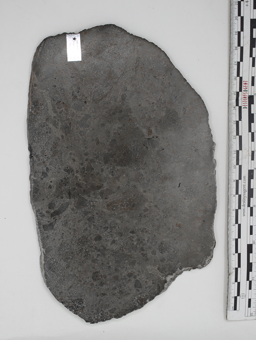 Huge top Eucrite slice, presumed fr.Asteroide Vesta, "Jikharra 001" Mass: 353gr