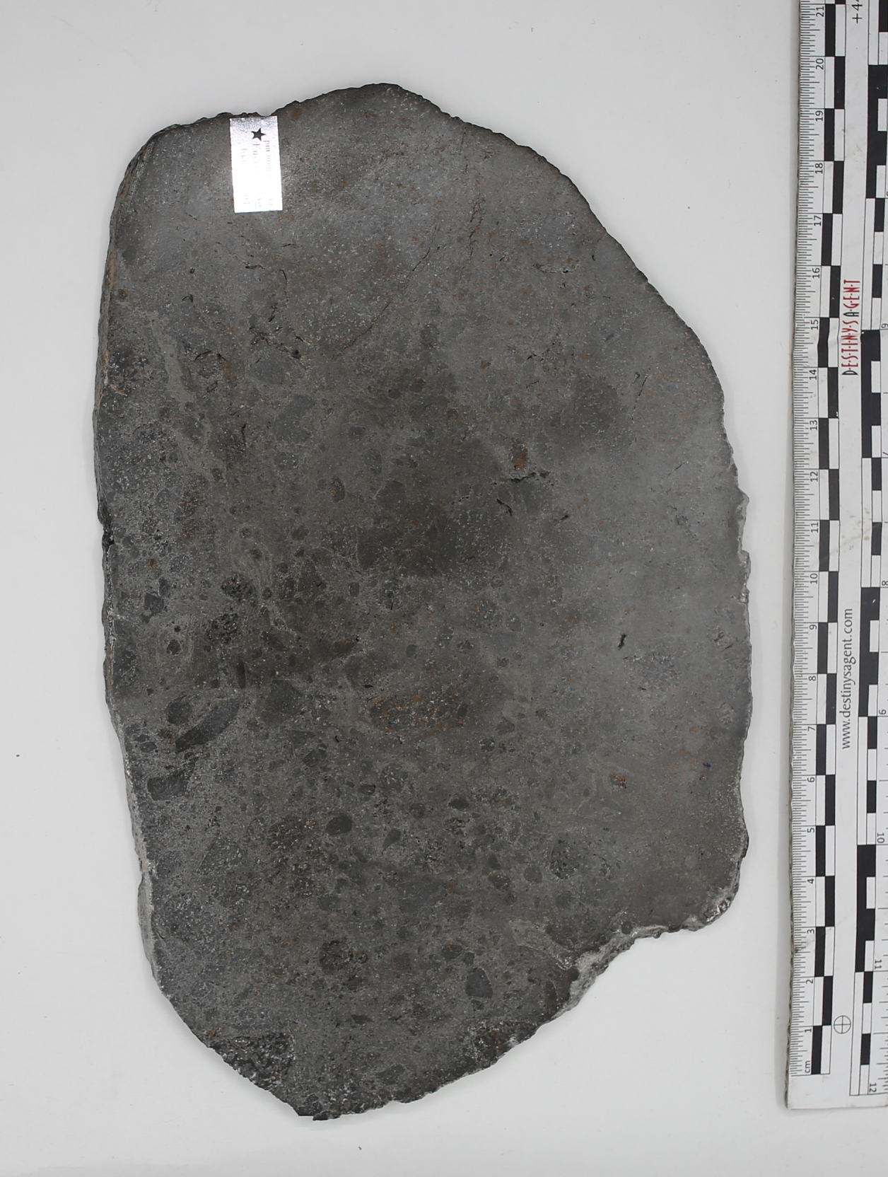 Huge top Eucrite slice, presumed fr.Asteroide Vesta, "Jikharra 001" Mass: 353gr