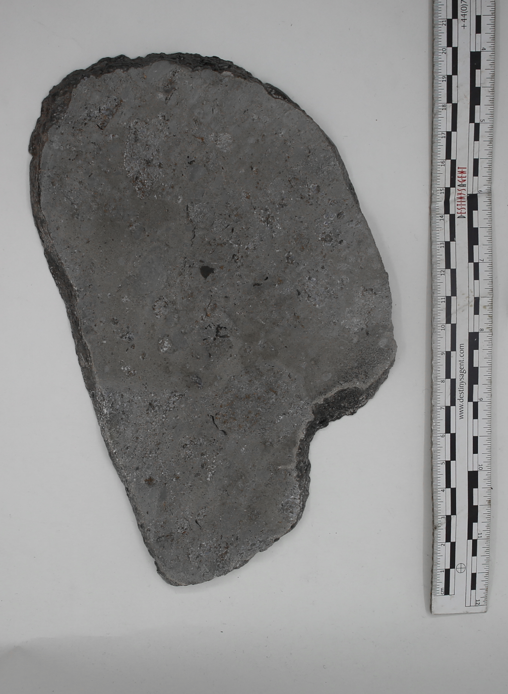 Huge top Eucrite slice, presumed fr.Asteroide Vesta, "Jikharra 001" Mass: 435gr