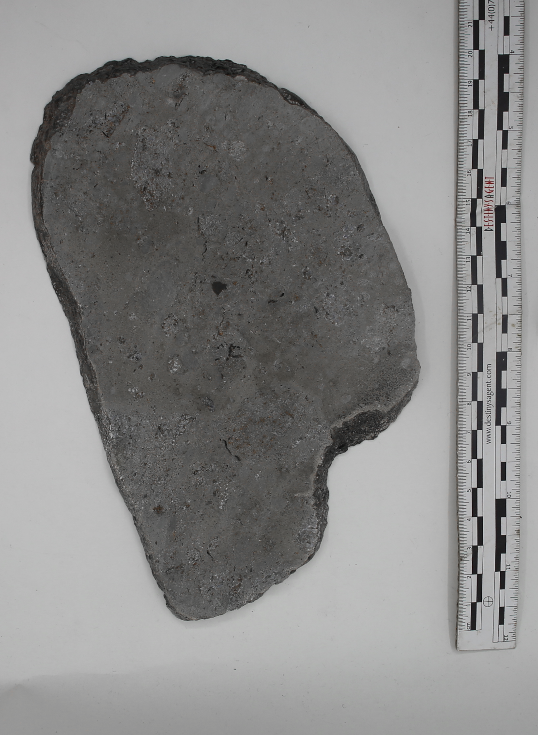 Huge top Eucrite slice, presumed fr.Asteroide Vesta, "Jikharra 001" Mass: 435gr