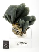 Seriphos Prase – Authentic Greek Green Quartz Treasures w.Legendary Hedenbergite Glow s
